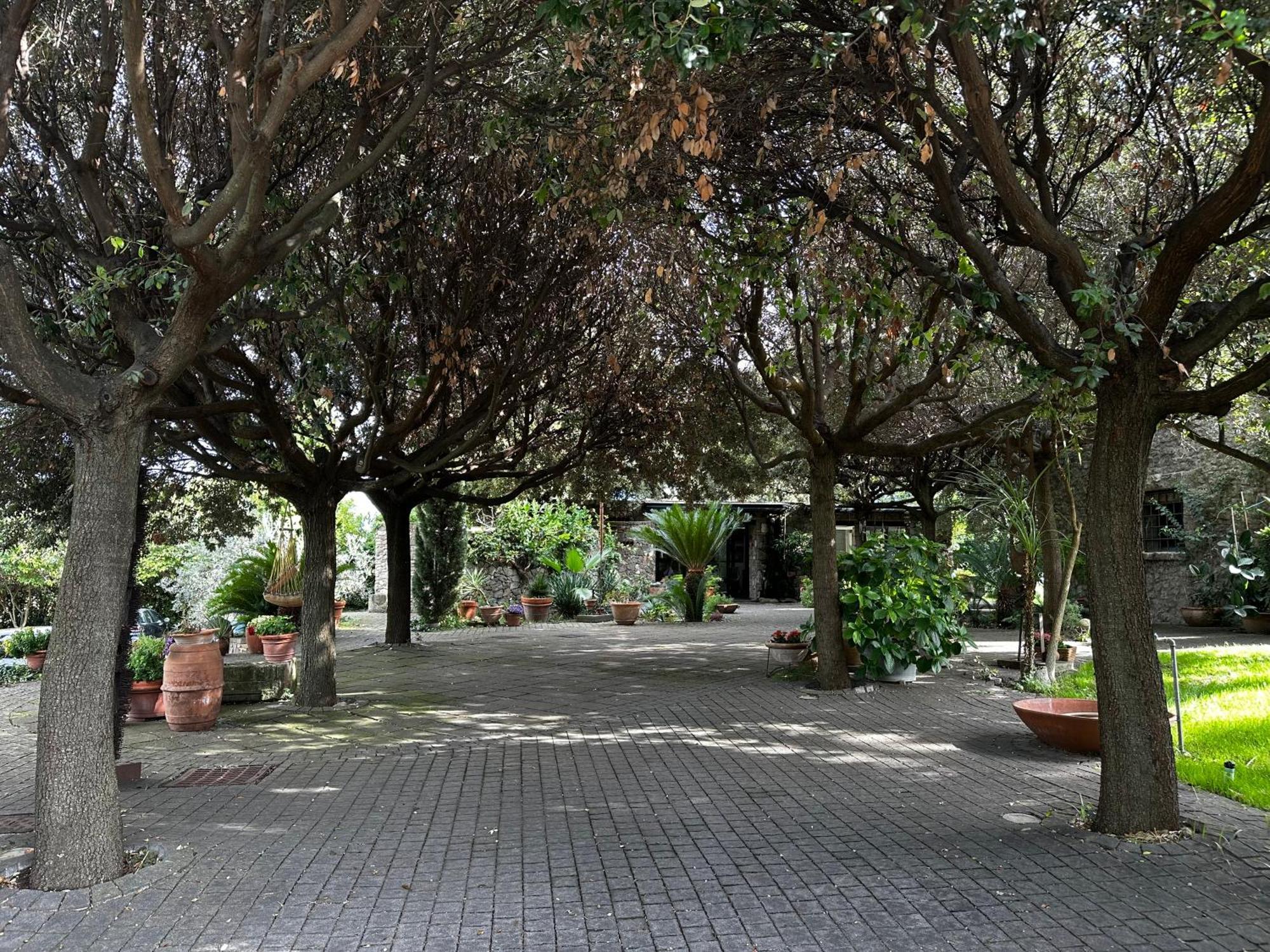 Borgo De' Paolis Apartment Grottaferrata Bagian luar foto